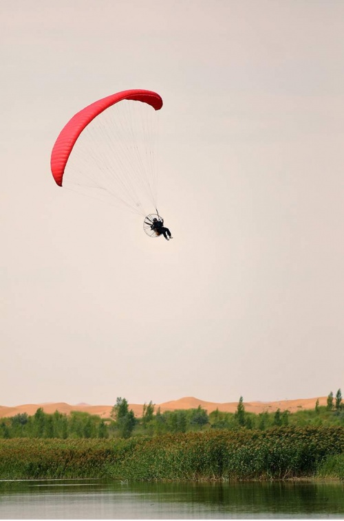 亿利生态将漫天黄沙变为“绿色银行”建立靓丽的风景线