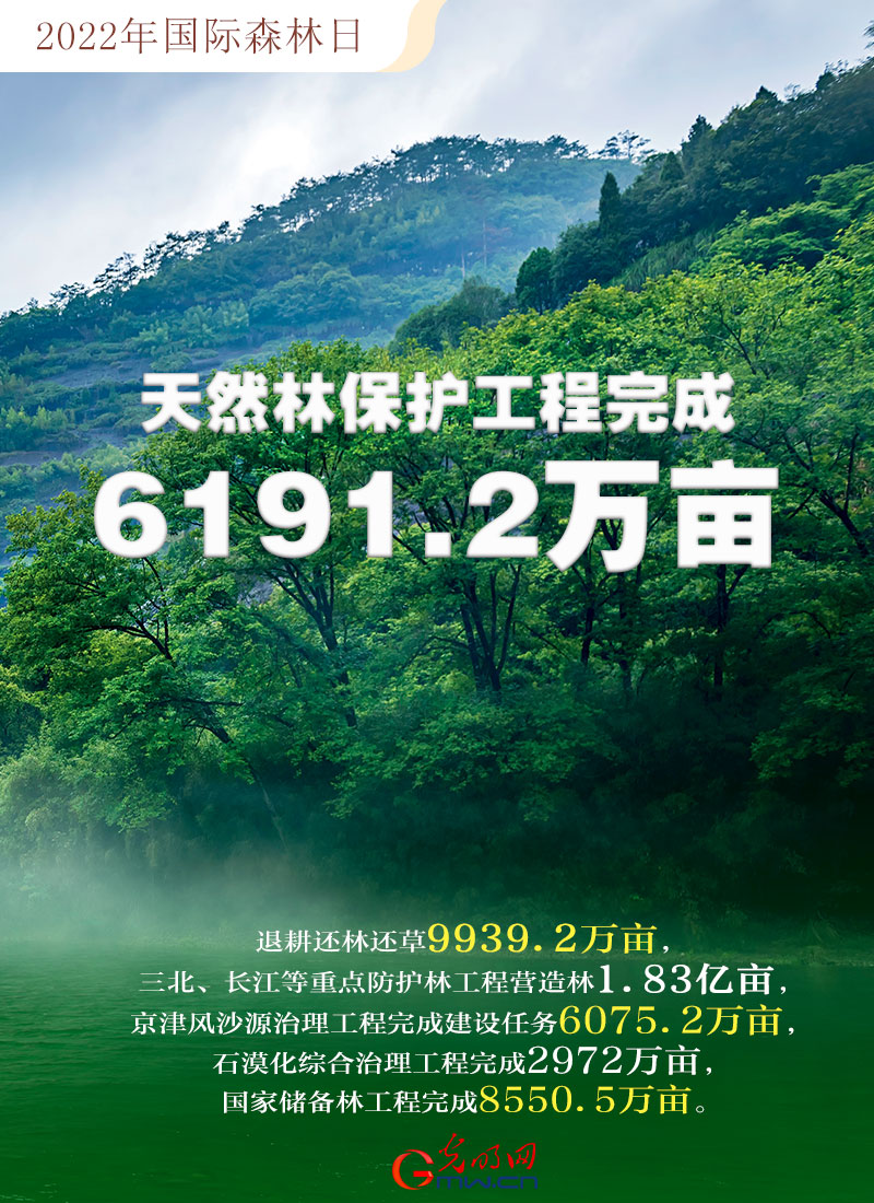 【海报】2022国际森林日：数读全球增绿的中国贡献