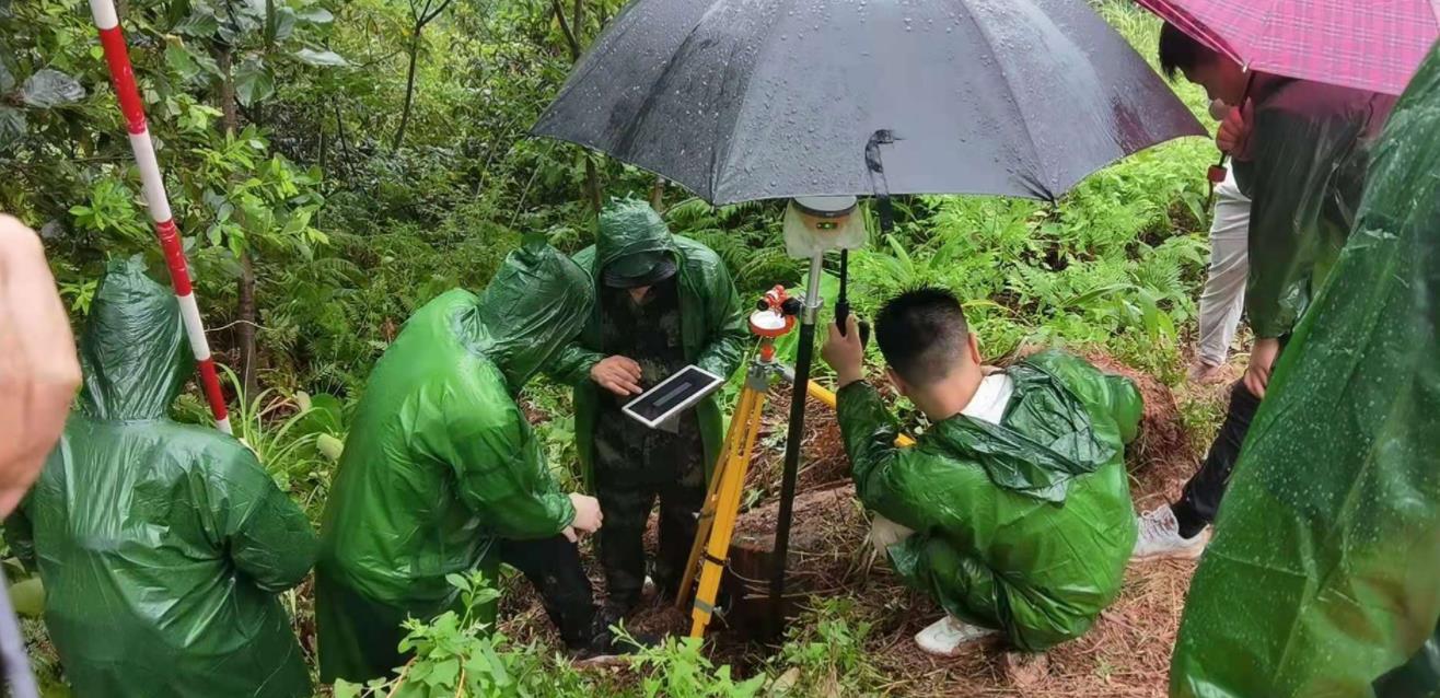 国家林草局：我国森林面积和蓄积稳步增长，碳汇能力稳步提升