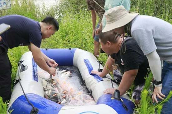 海尾国家湿地公园（试点）第二次动植物资源本底调查启动