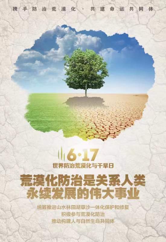 国家林草局：我国近十年累计完成防沙治沙2.82亿亩