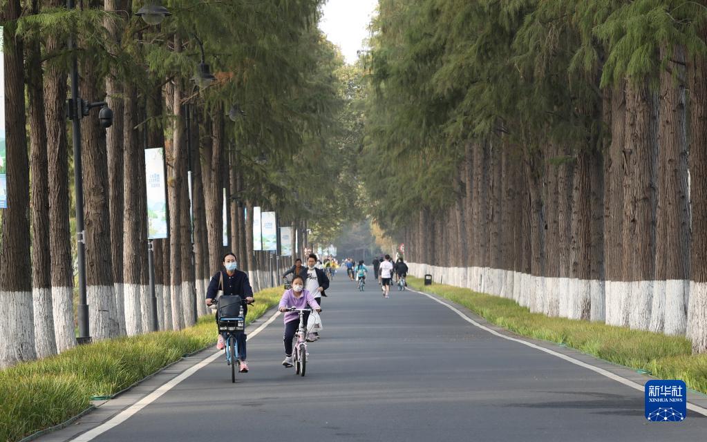 从湿地之美见证中国生态“密码”启迪世界