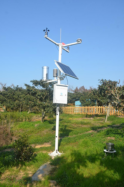 扫一扫就知晓！这里的枇杷树有了专属“身份证”