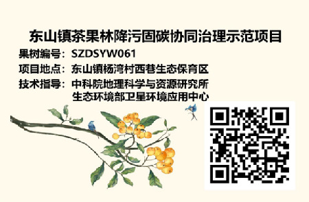 扫一扫就知晓！这里的枇杷树有了专属“身份证”