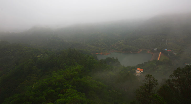 观音山国家森林公园：“生态+”发展模式诠释绿色发展理念