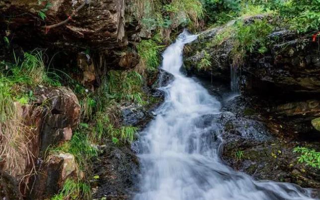 观音山国家森林公园：“生态+”发展模式诠释绿色发展理念