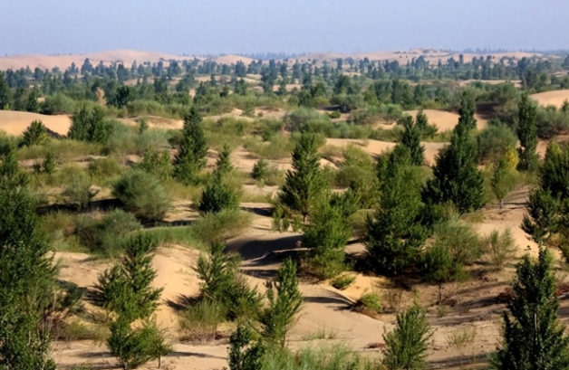 “一带一路”上的库布其 “一带一路”上的库布其