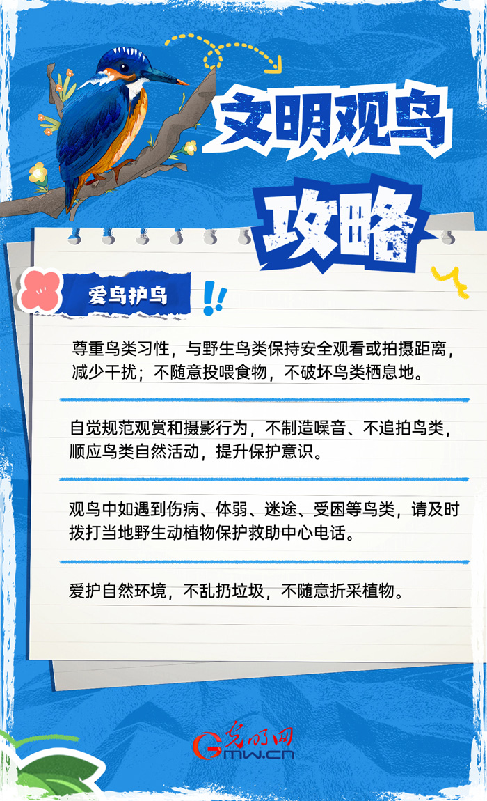 白枕鹤、勺嘴鹬、中华秋沙鸭……这些国宝级候鸟你认识吗？