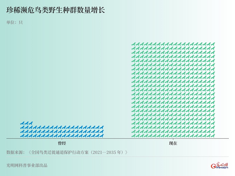 数据新闻｜漫漫归途：守护候鸟迁徙之路的中国力量