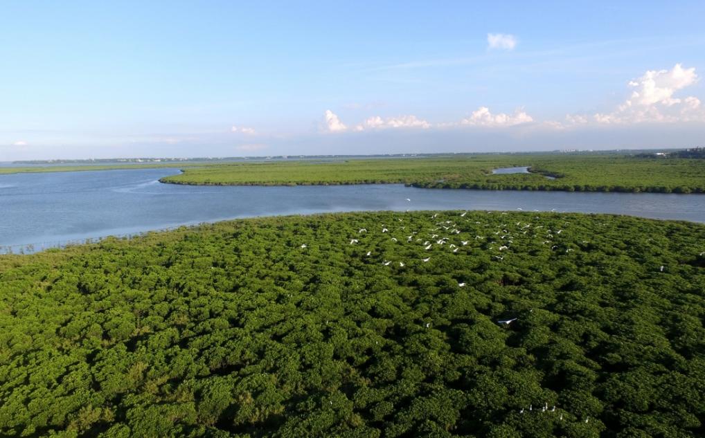 我国全面加强湿地保护修复 湿地面积达5635万公顷