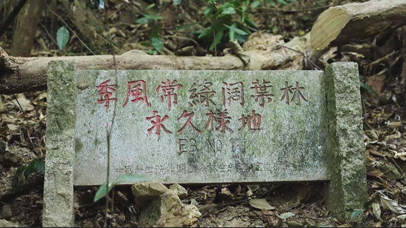 北回归线上的绿色奇迹——走进中国第一个自然保护区