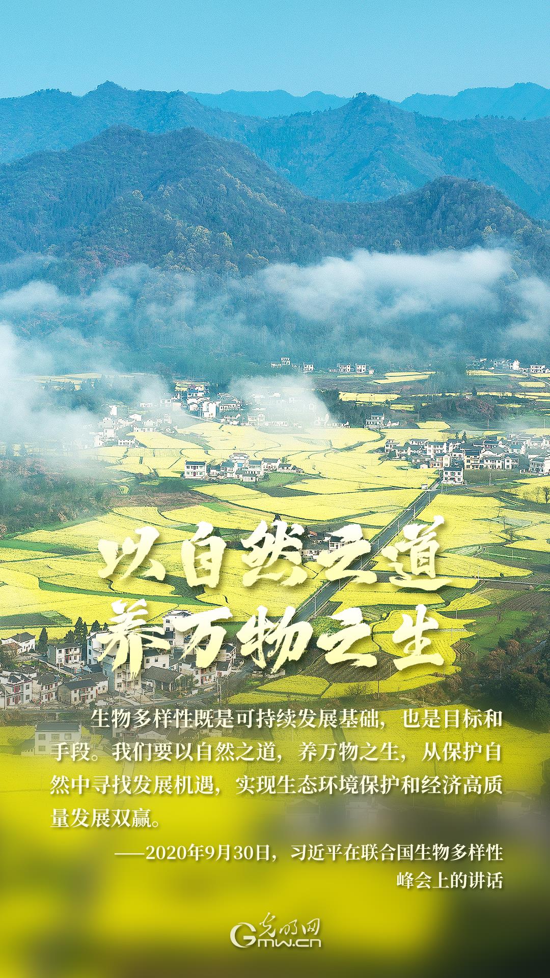海报丨人与自然和谐共生，守护生物多样性之美