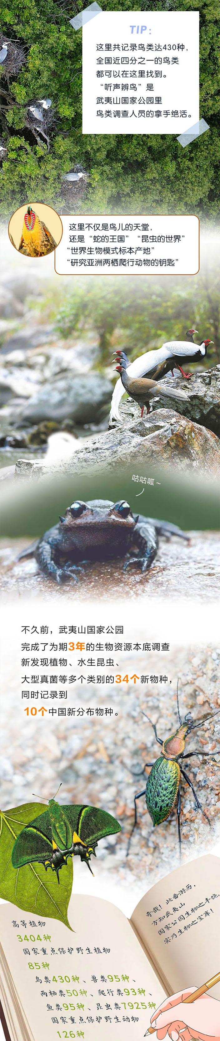 国际生物多样性日 | 动起来！跟着徐霞客来一场奇妙的“Park Walk”
