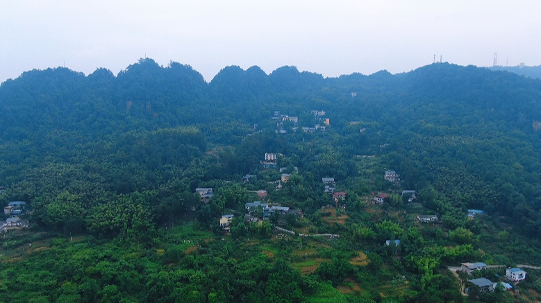 “两山”实践·重庆经验丨缙云山：从“靠山吃山”转向“养山富山”