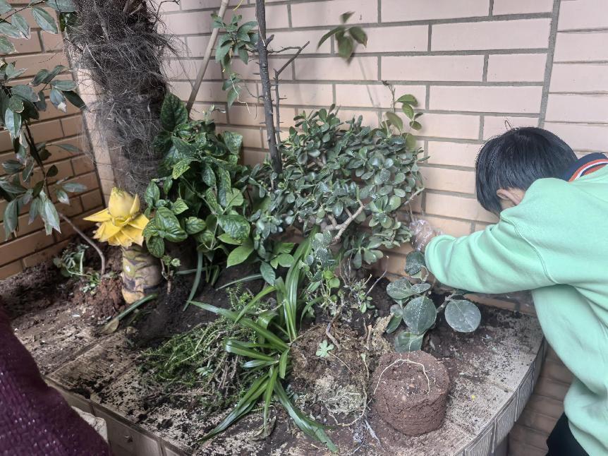美丽中国，我是行动者丨双胞胎家庭守护城市生物多样性