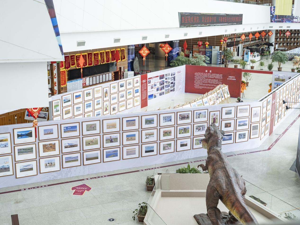 “极地那曲·纳仓申扎”——首届申扎生态摄影展开幕