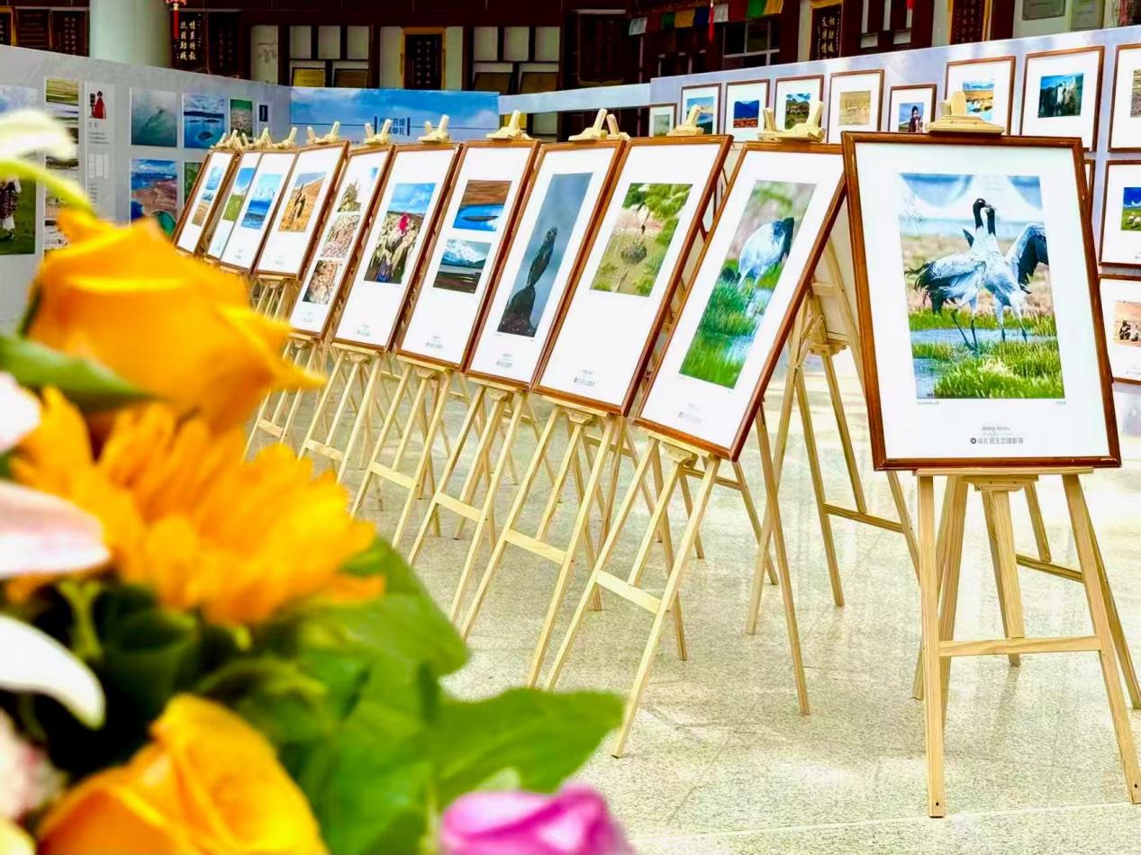 “极地那曲·纳仓申扎”——首届申扎生态摄影展开幕