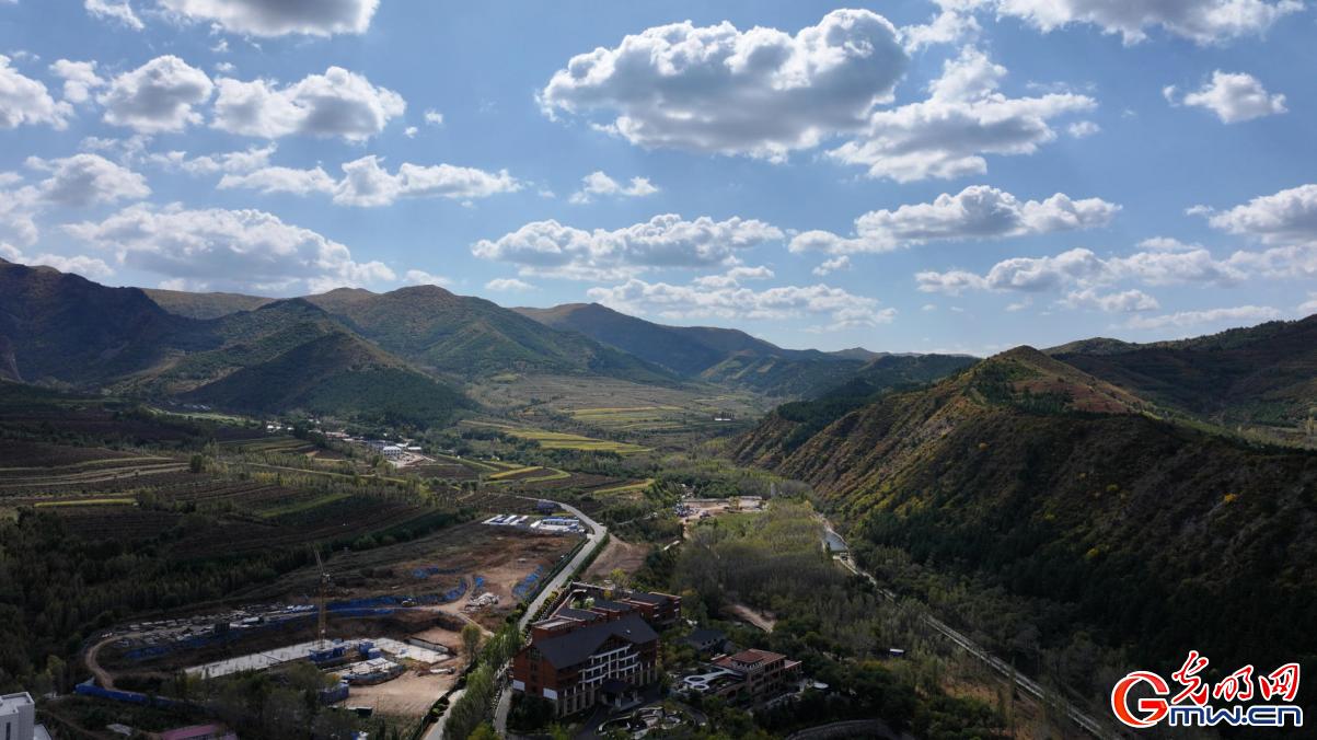 和谐共生|“两山”理念扎根马鞍山林场 和谐共生|“两山”理念扎根马鞍山林场