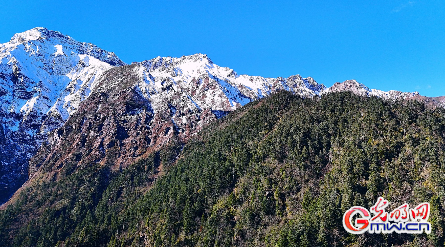 美丽中国｜秋染王朗：雪山与彩林同框