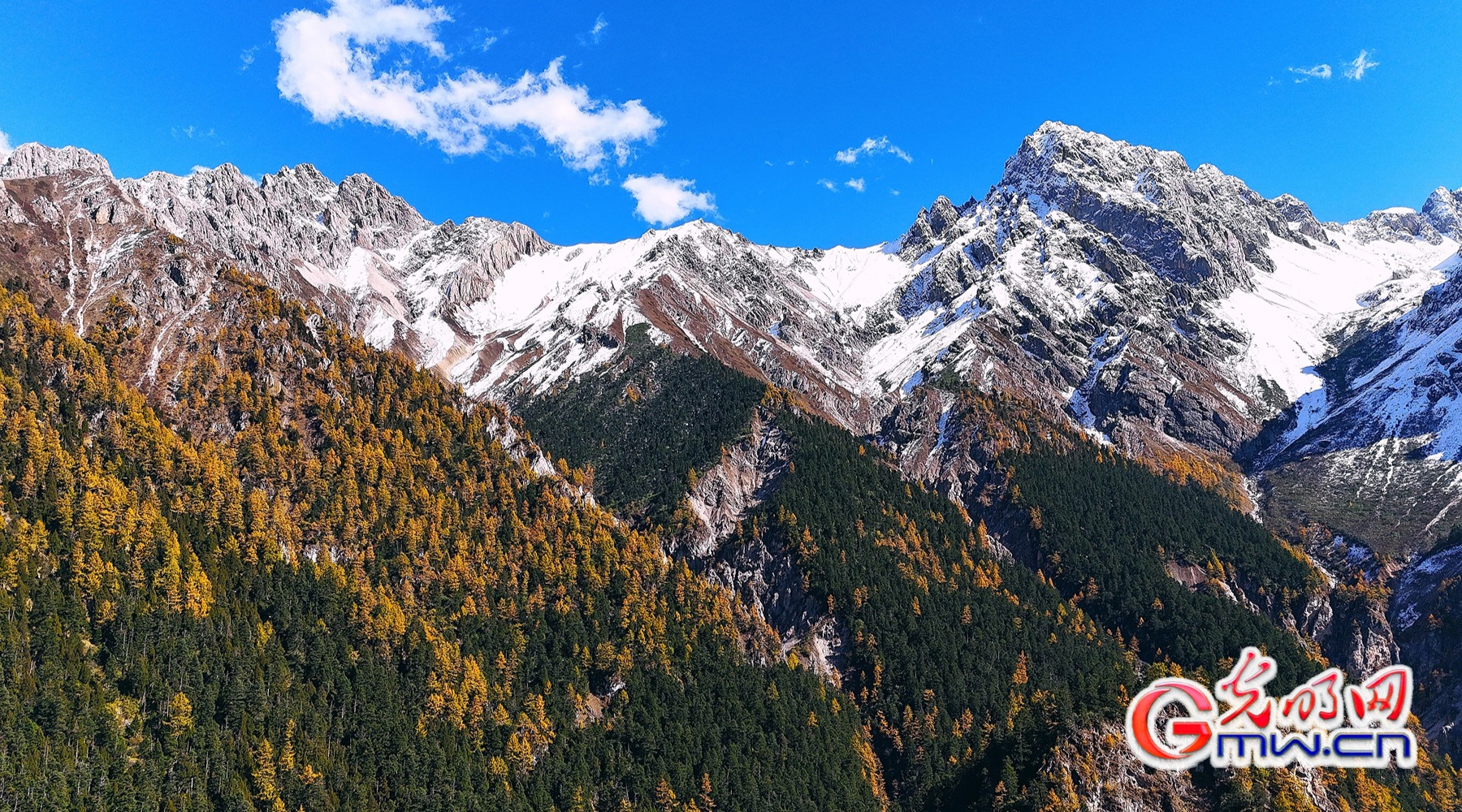 美丽中国｜秋染王朗：雪山与彩林同框
