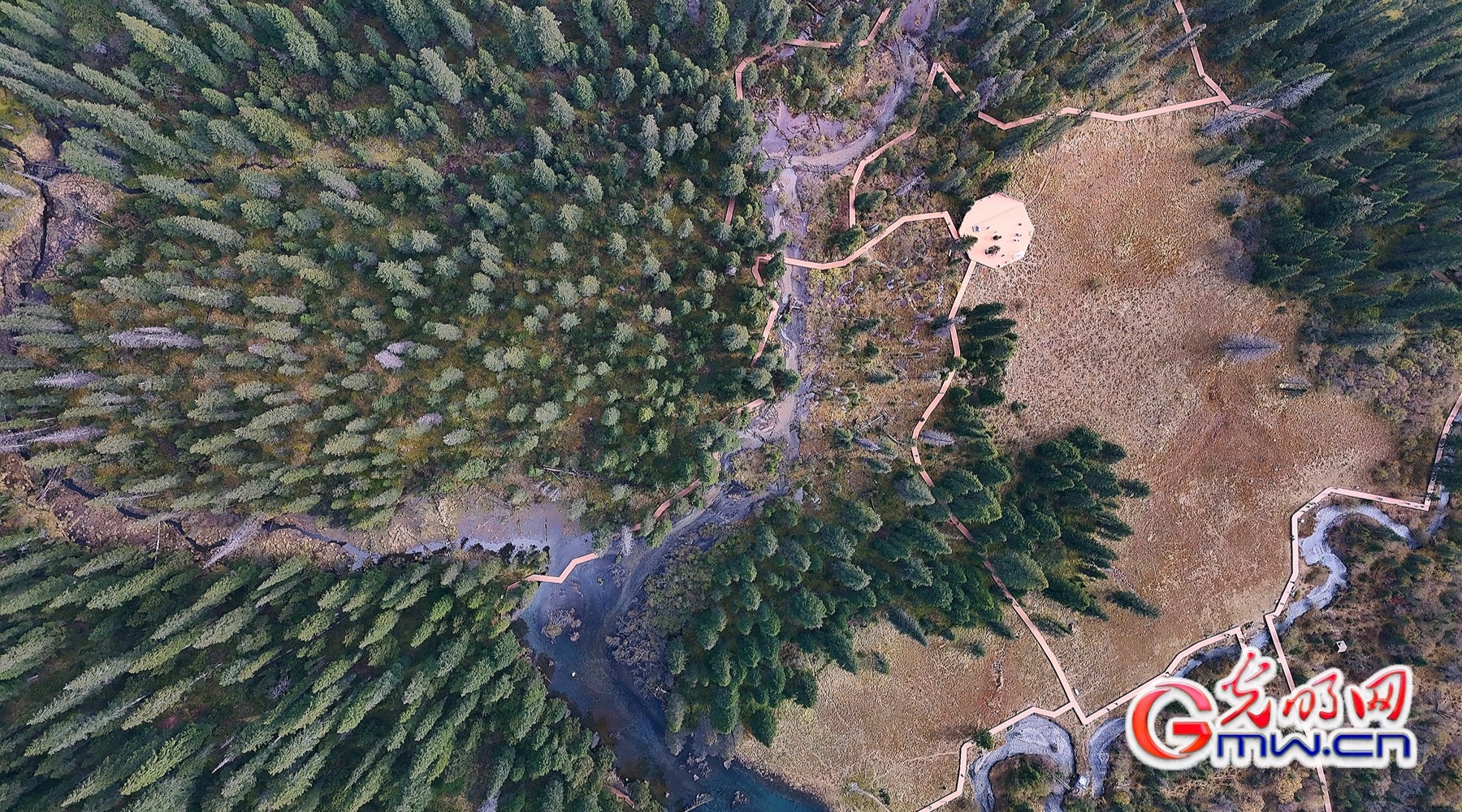 美丽中国｜秋染王朗：雪山与彩林同框