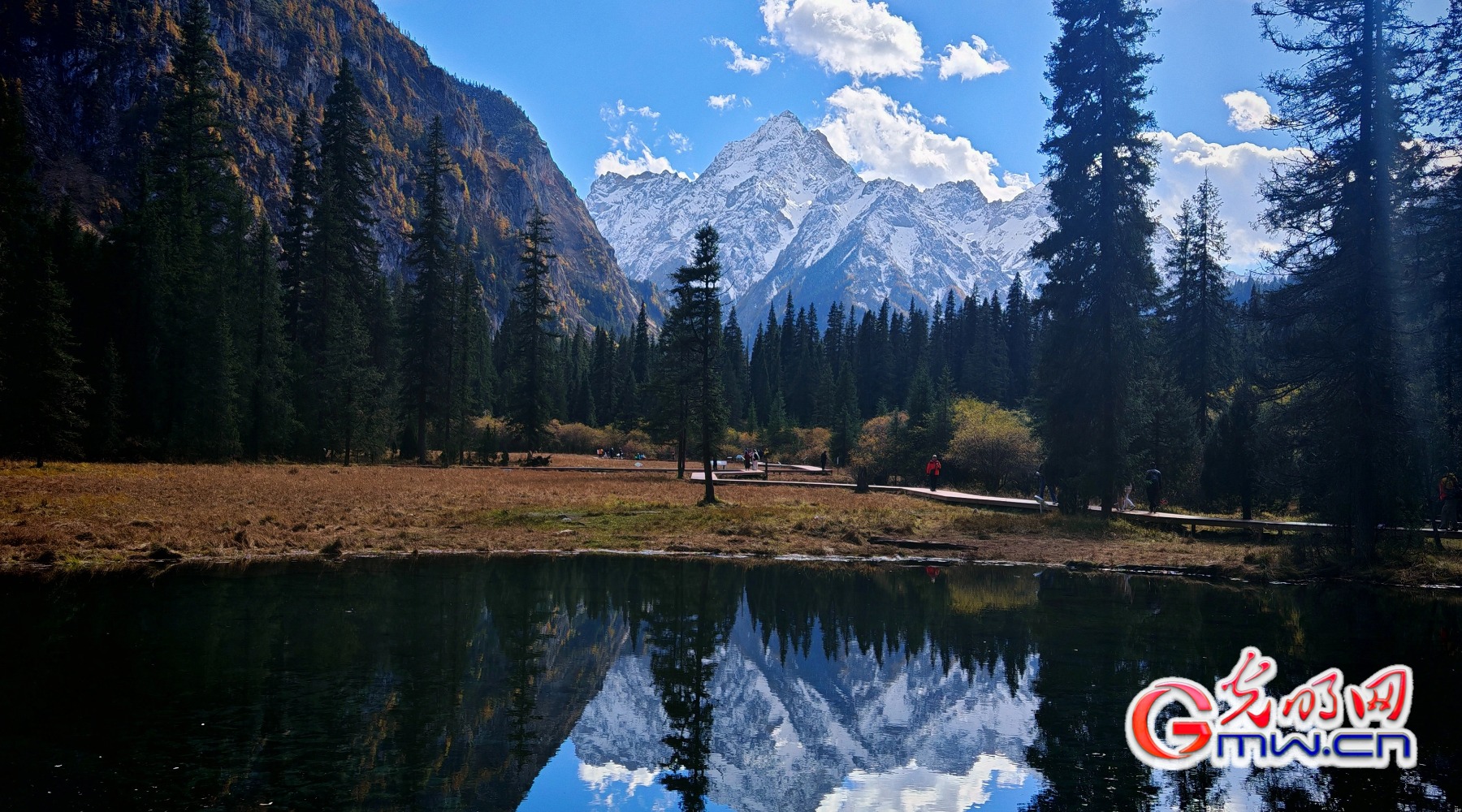 美丽中国｜秋染王朗：雪山与彩林同框
