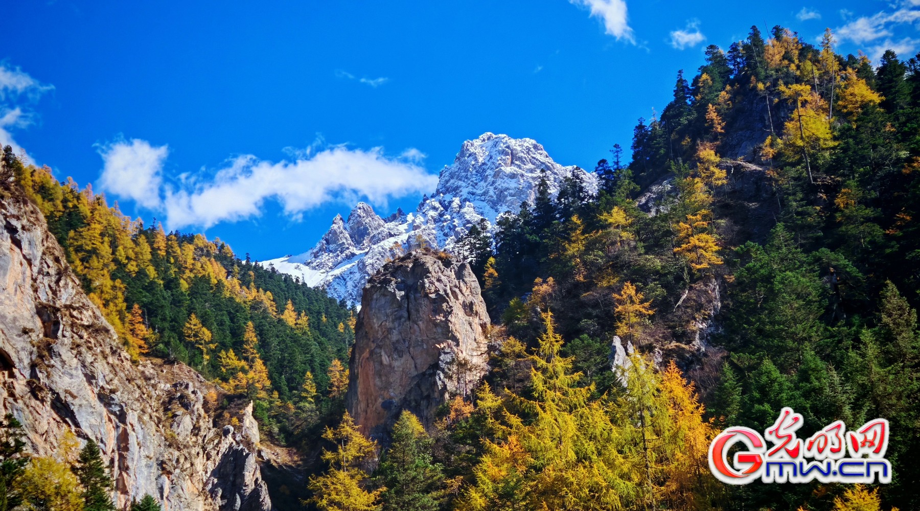 美丽中国｜秋染王朗：雪山与彩林同框