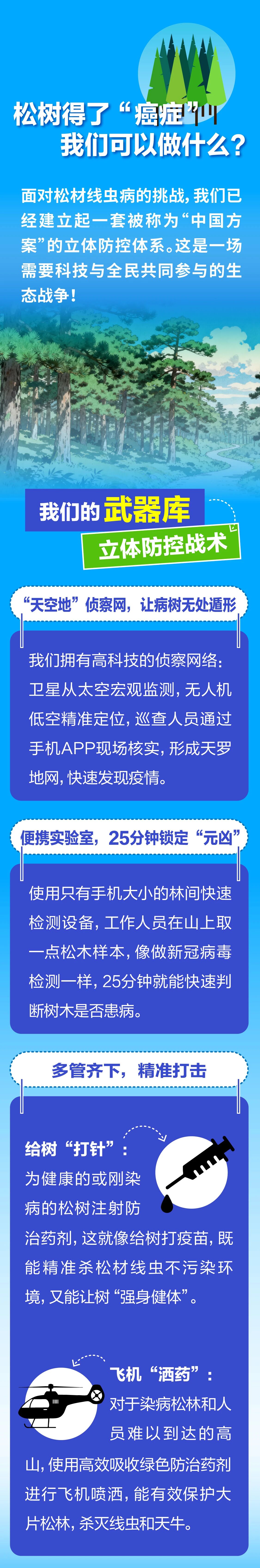 松树得了“癌症” 我们可以做什么