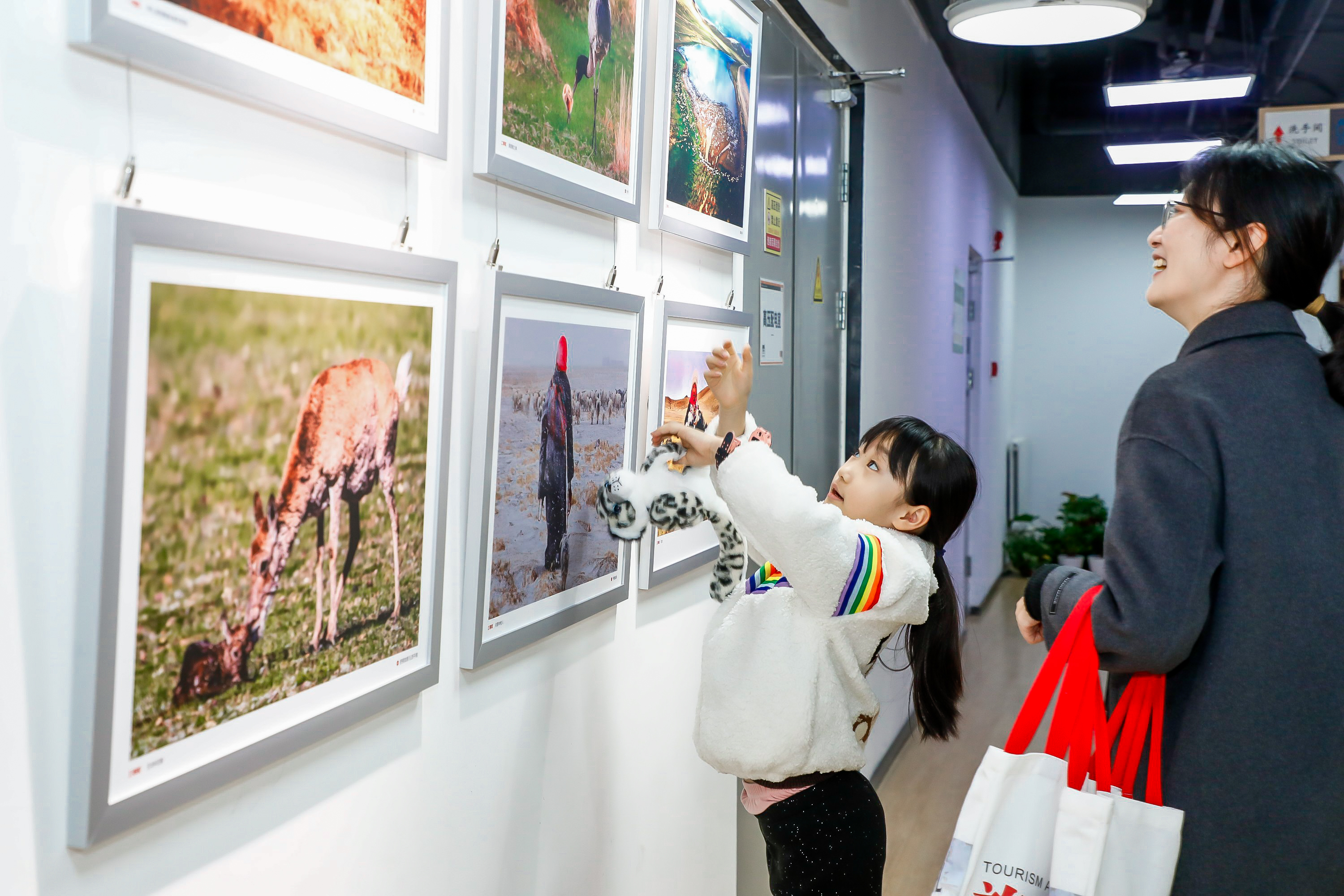 发现海拔4700米上的大美奇景，申扎生态摄影展北京站开幕