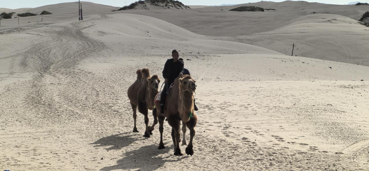 北疆大地书写“两山”答卷