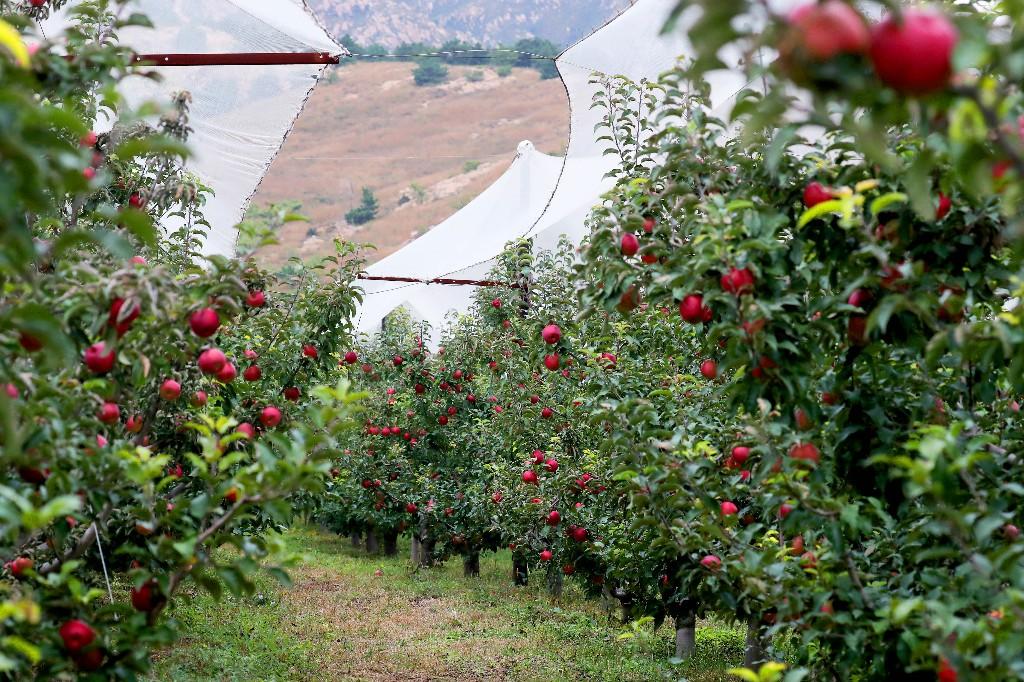 赤峰绿色转型三重奏——“两山”理念指引下的和谐共生之路