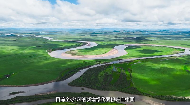 美丽观察 | 全球环境治理，中国是坚定的行动派、引领者！