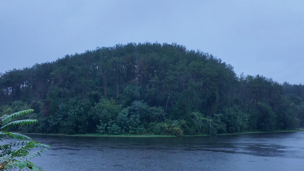 “两山”理念与美丽中国丨炊烟袅袅处，朱鹮翩翩飞