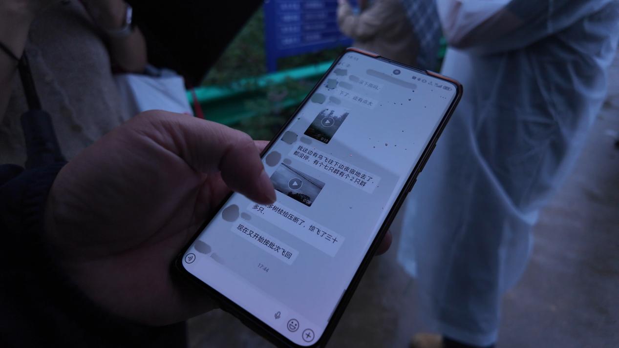 “两山”理念与美丽中国丨炊烟袅袅处，朱鹮翩翩飞