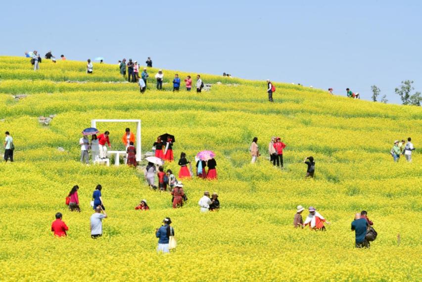 北京市政协委员许槟：艺术赋能绿隔建设 既要生态底色也要人文温度