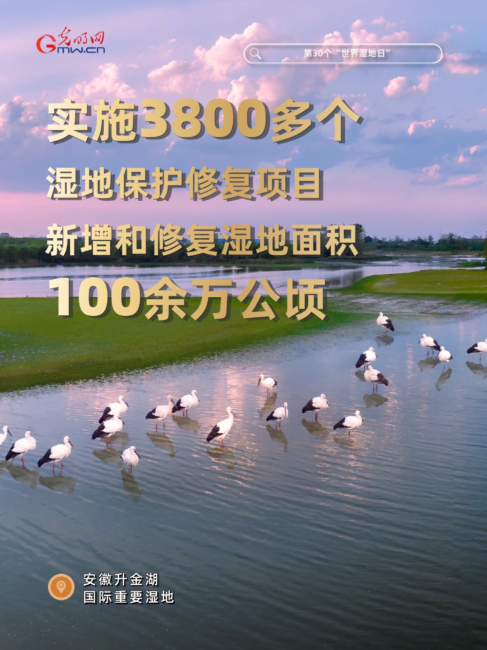 世界湿地日丨数说中国湿地保护“成绩单”