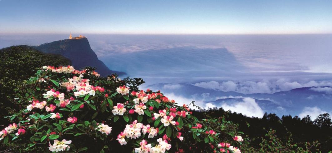 为全球世界遗产保护事业贡献行之有效的“中国方案”