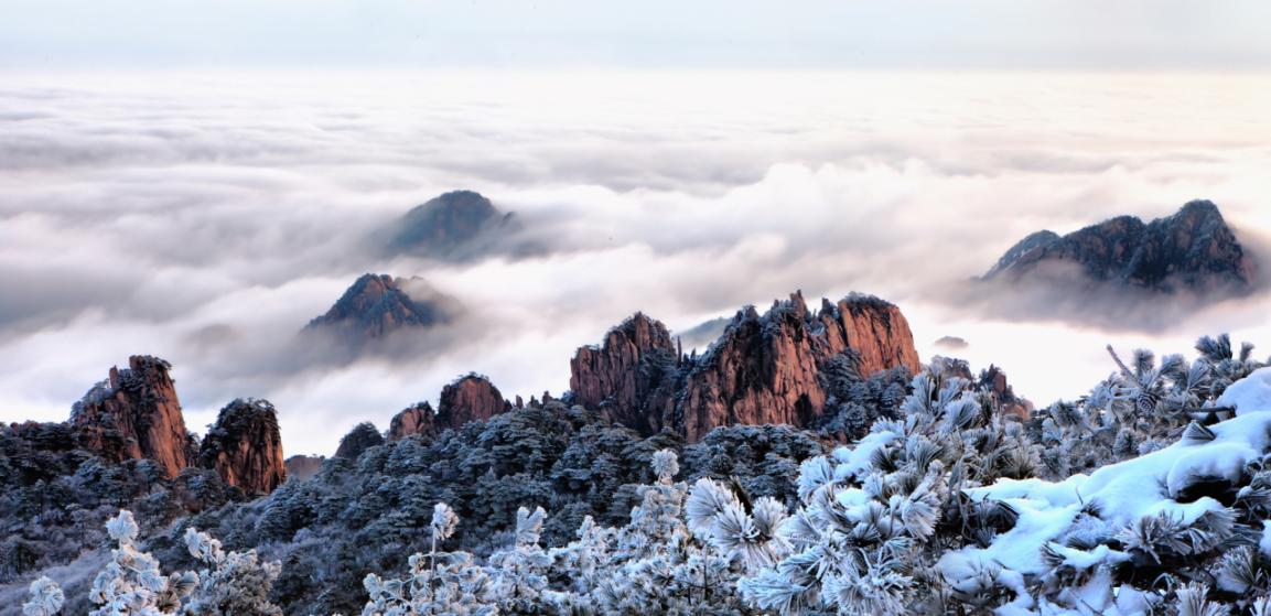 为全球世界遗产保护事业贡献行之有效的“中国方案”