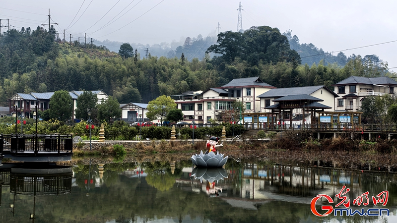 新春走基层｜三明有片“医疗碳汇林”