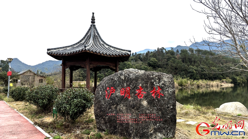 新春走基层｜三明有片“医疗碳汇林”