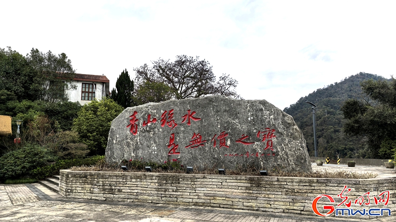 新春走基层｜三明有片“医疗碳汇林”