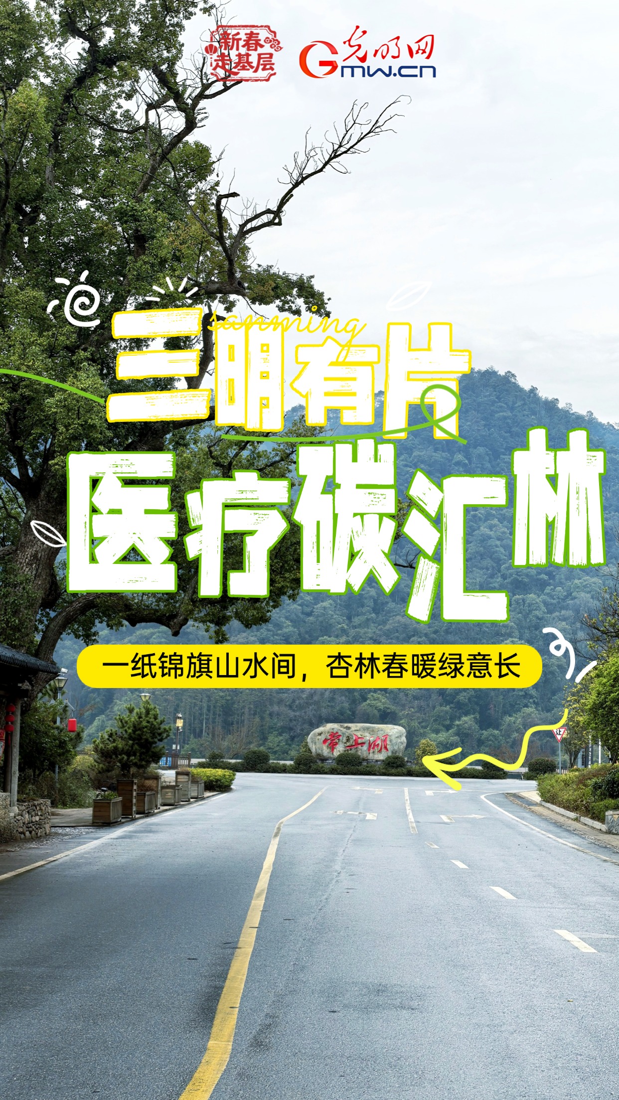 新春走基层｜三明有片“医疗碳汇林”