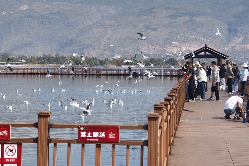 新春走基层｜山朝水朝，不如人来朝——异龙湖畔感受高原湖泊治污成果