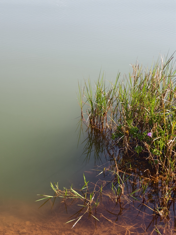 新春走基层｜山朝水朝，不如人来朝——异龙湖畔感受高原湖泊治污成果