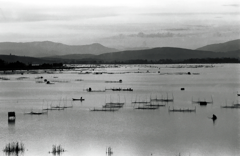 新春走基层｜山朝水朝，不如人来朝——异龙湖畔感受高原湖泊治污成果