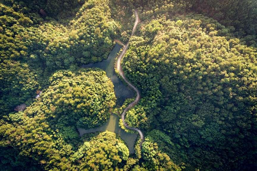 总产值近11万亿元！我国森林生态系统“三大效益”得到有效发挥