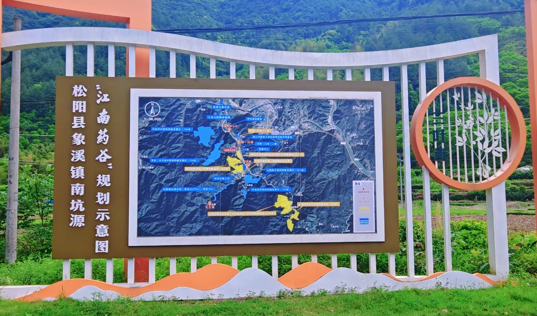 绿水青山“瞰”中国丨浙江松阳：从山野到药谷，林业共富园区点绿成金