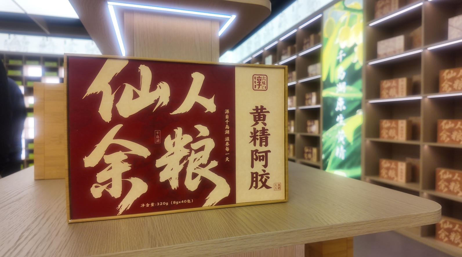 绿水青山“瞰”中国丨浙江淳安：林下复合经营 绿富协同谱新篇