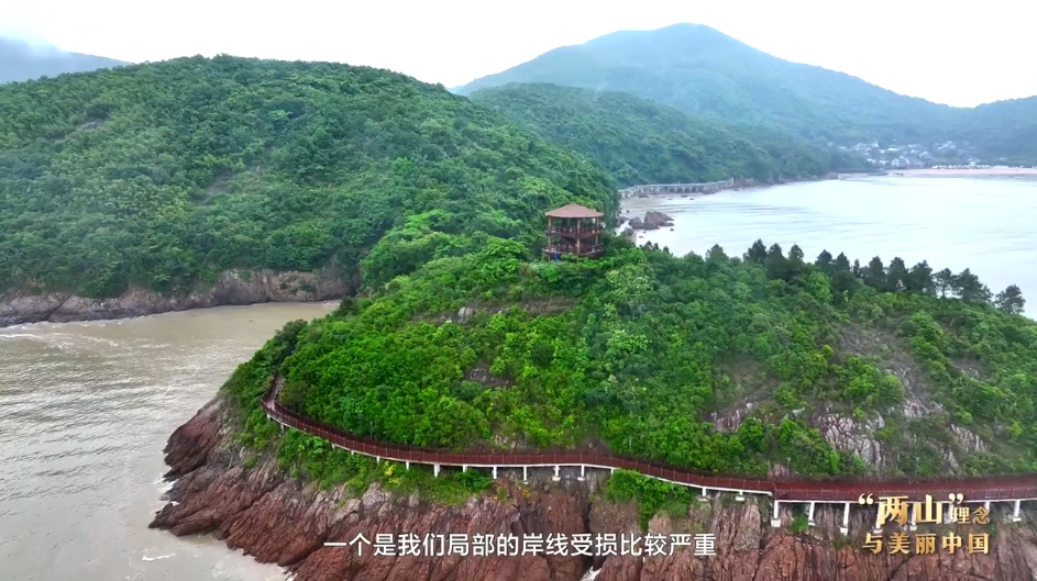 “两山”理念与美丽中国丨修堤护海 焕新海岸肌理