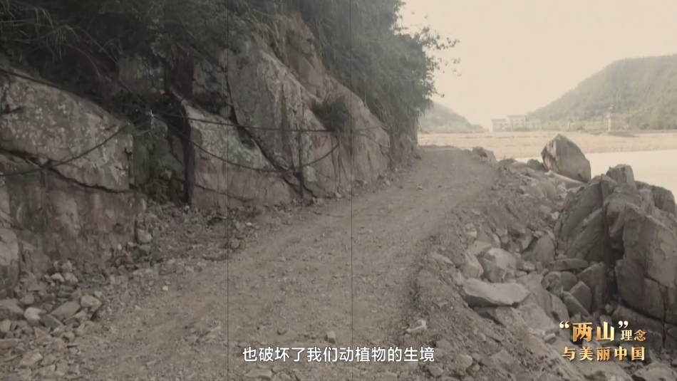 “两山”理念与美丽中国丨修堤护海 焕新海岸肌理